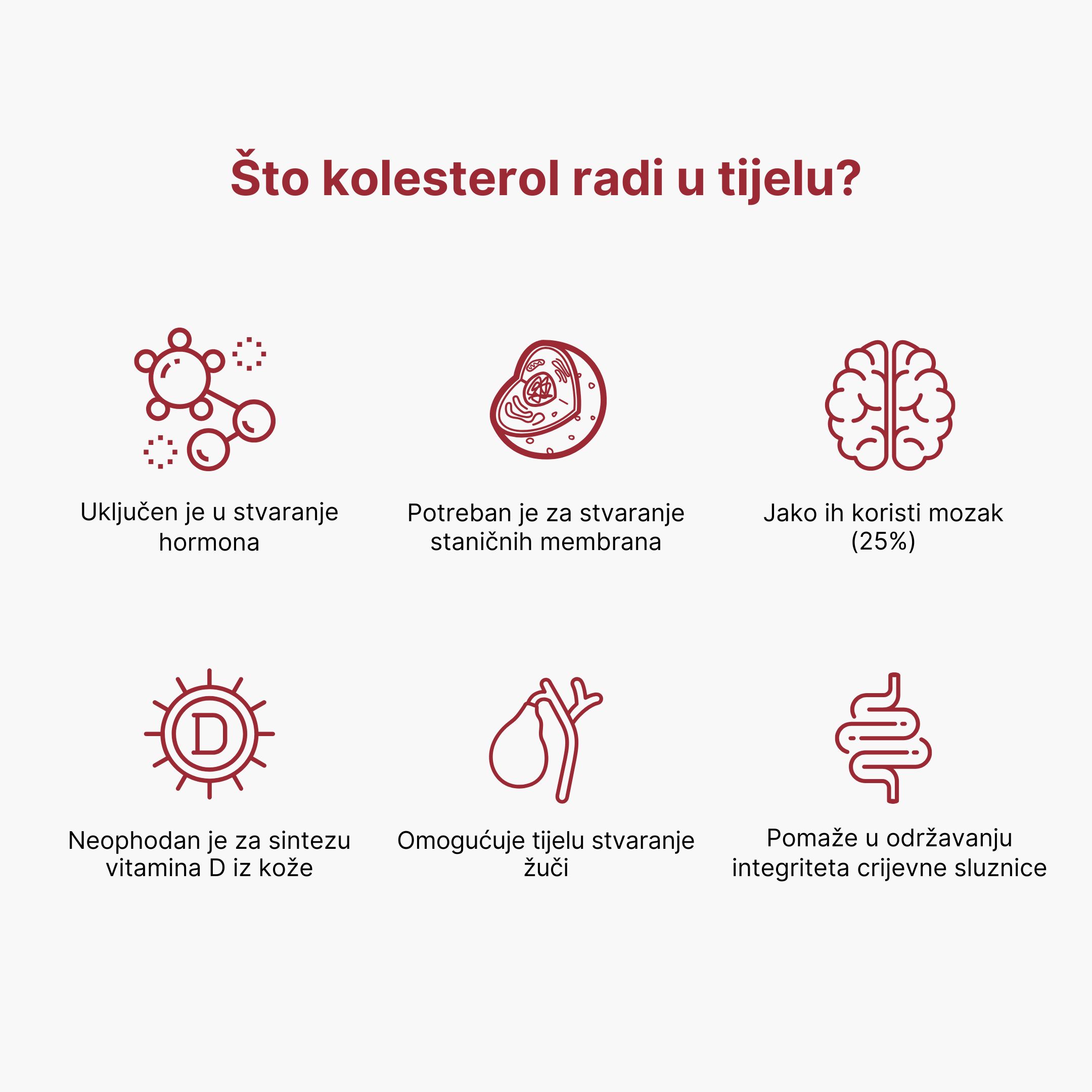 (Chorvatština) Co má v těle na starost cholesterol